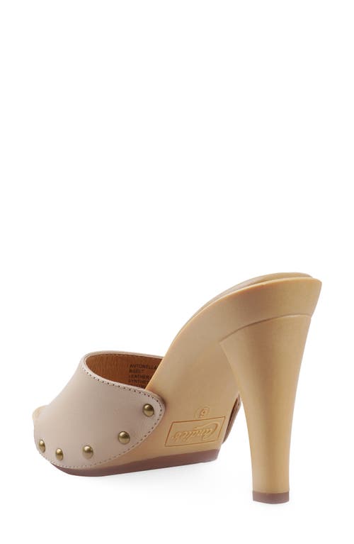 Candies Candie's Antonella Slide Sandal In Brown