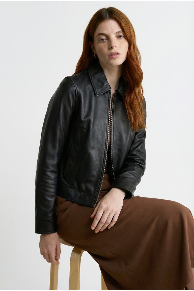Chloe Leather Jacket, Alternate, color, Black