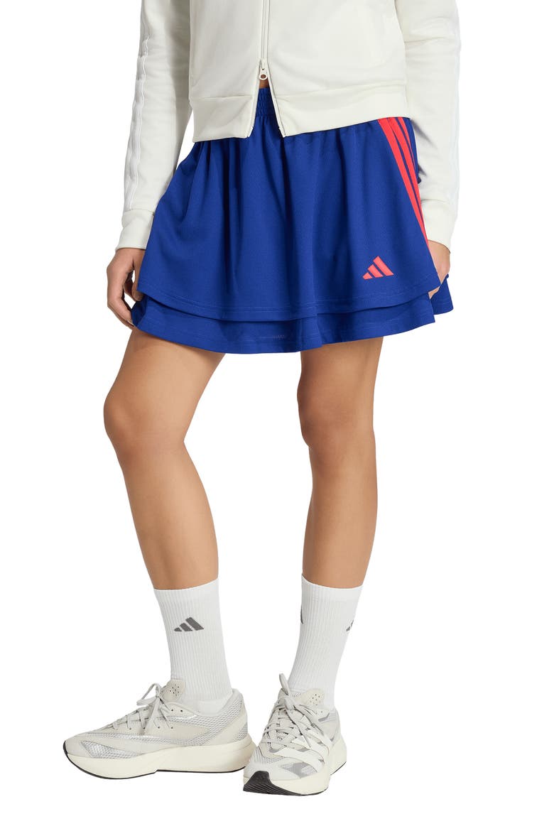 House of Tiro Skirt, Main, color, MYSTERY INK/ WHITE/ PURE RUBY