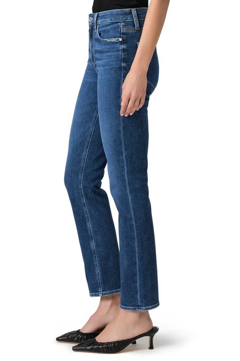 Cindy High Waist Ankle Straight Leg Jeans, Alternate, color, DRESDEN
