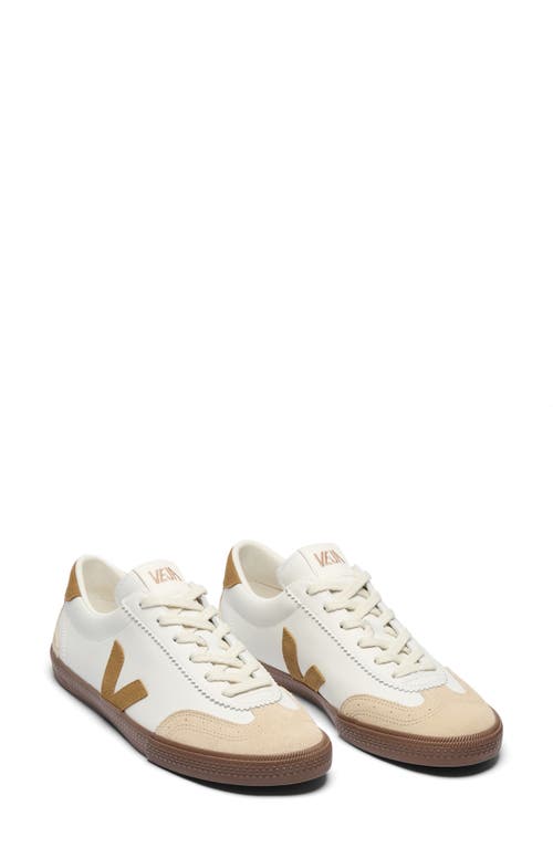 Veja Volley O.T. Sneaker in White Tent Bark at Nordstrom, Size 37