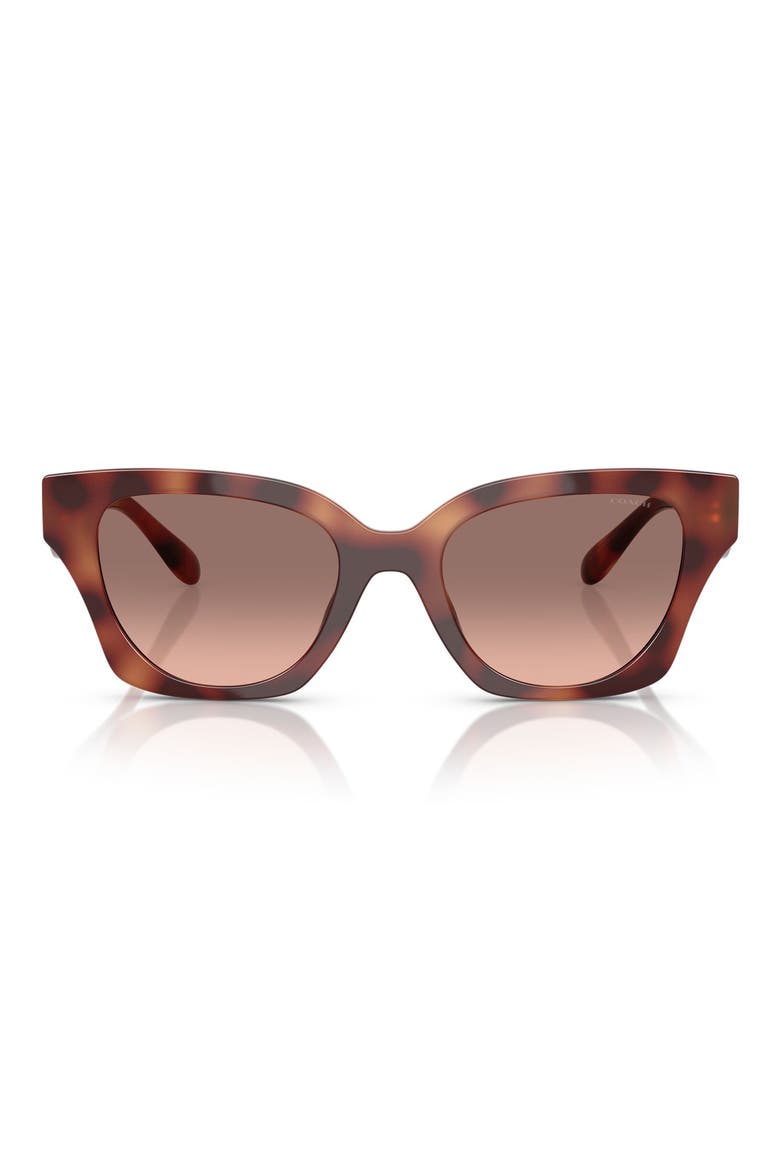 53mm Gradient Butterfly Sunglasses, Main, color, CARAMEL TORTOISE