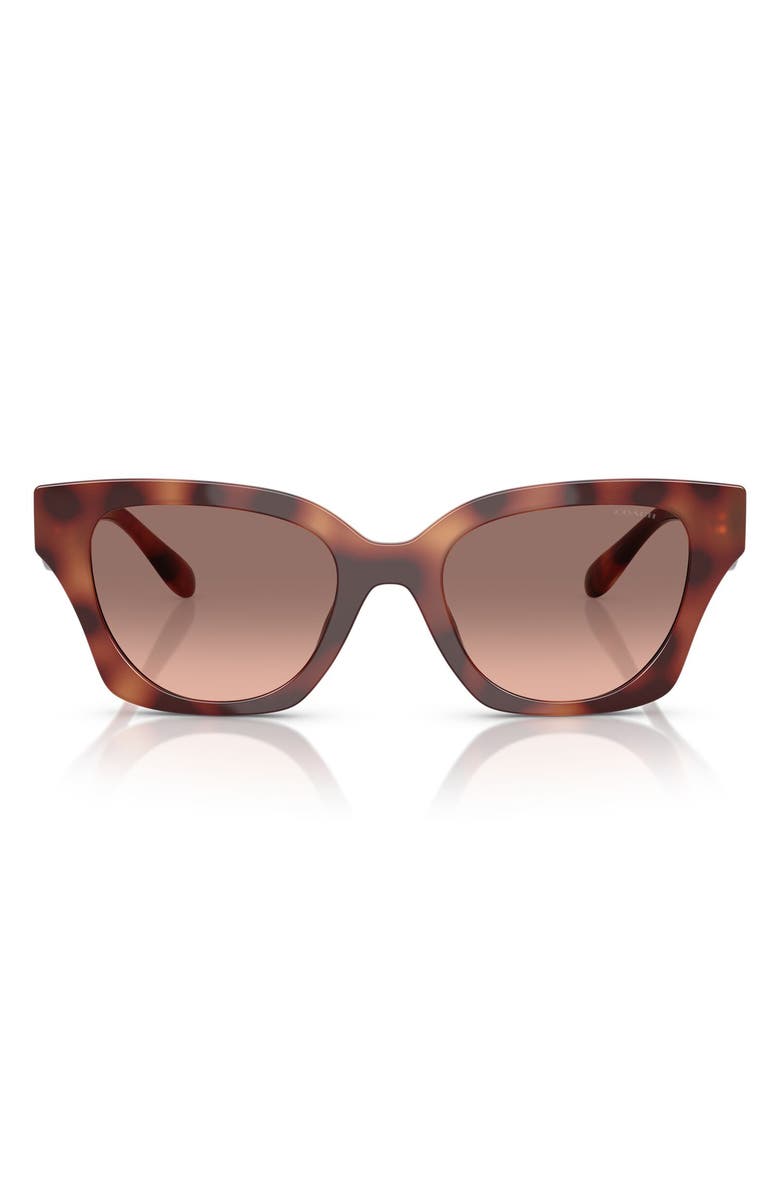 COACH 53mm Gradient Butterfly Sunglasses, Main, color, Caramel Tortoise