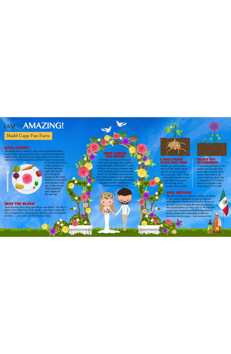 Madd Capp Dahlia 350 Piece Jigsaw Puzzle, Alternate, color, Multicolored