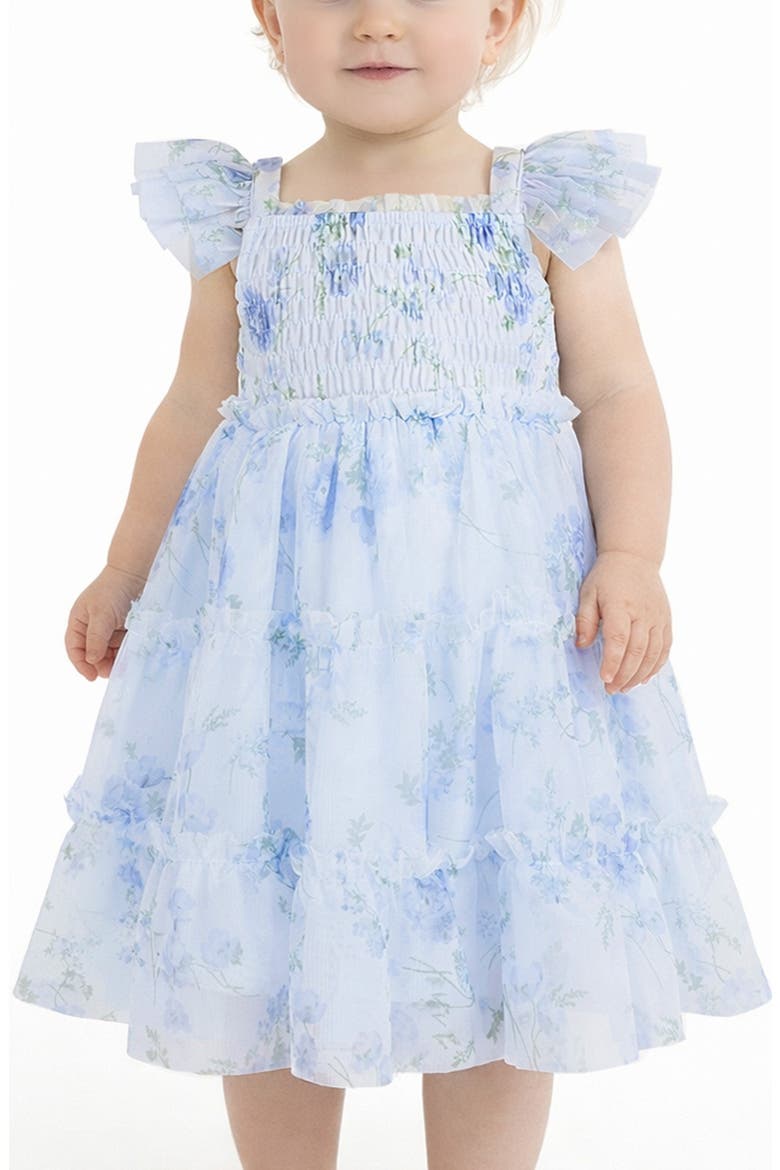 Flutter Sleeve Smocked Strawberry Embroidered Dress, Alternate, color, BLUE