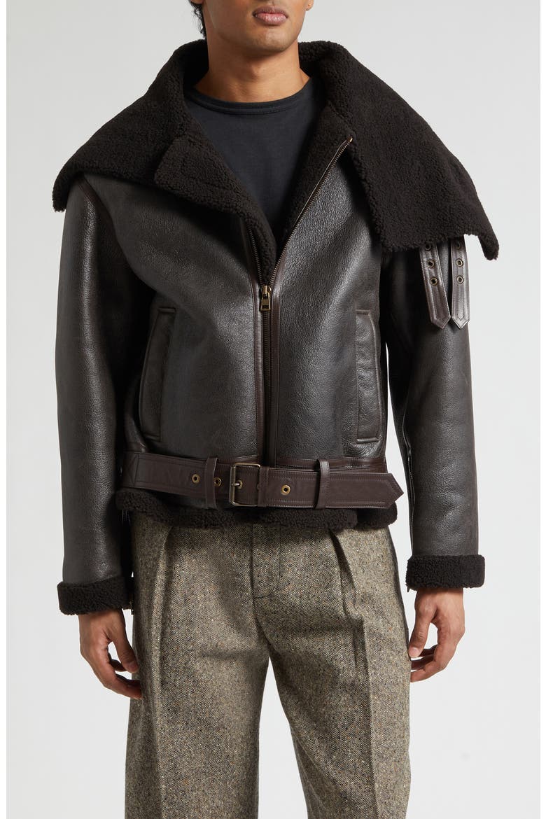 Belted Lambskin & Genuine Shearling Aviator Jacket, Main, color, CHOCOLATE BROWN/ BROWN