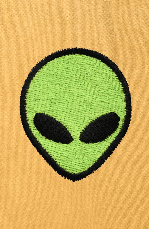 Dalix Alien Midweight Mineral Washed Hoodie