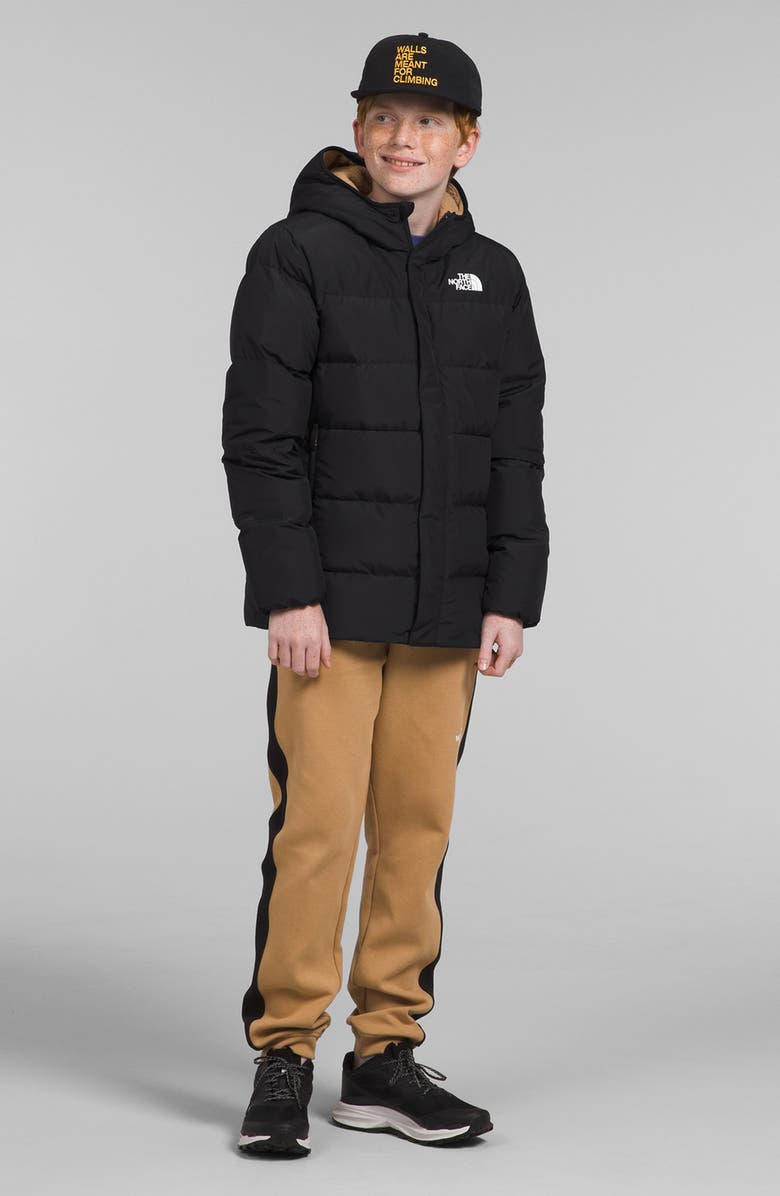 The North Face Kids' Water Repellent Down Parka, Alternate, color,