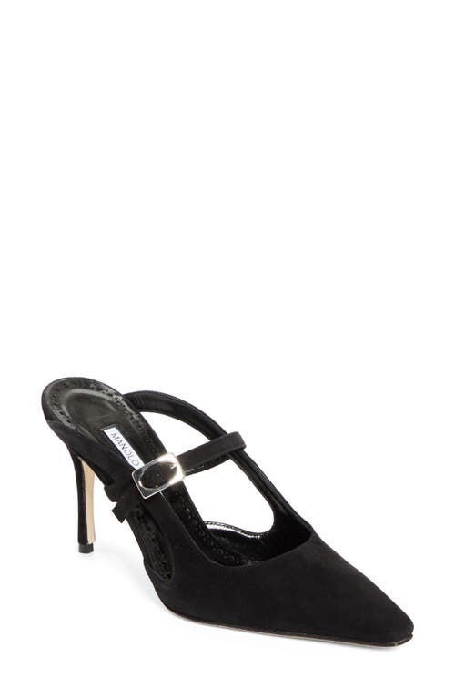 Manolo Blahnik Okos Pointed Toe Pump