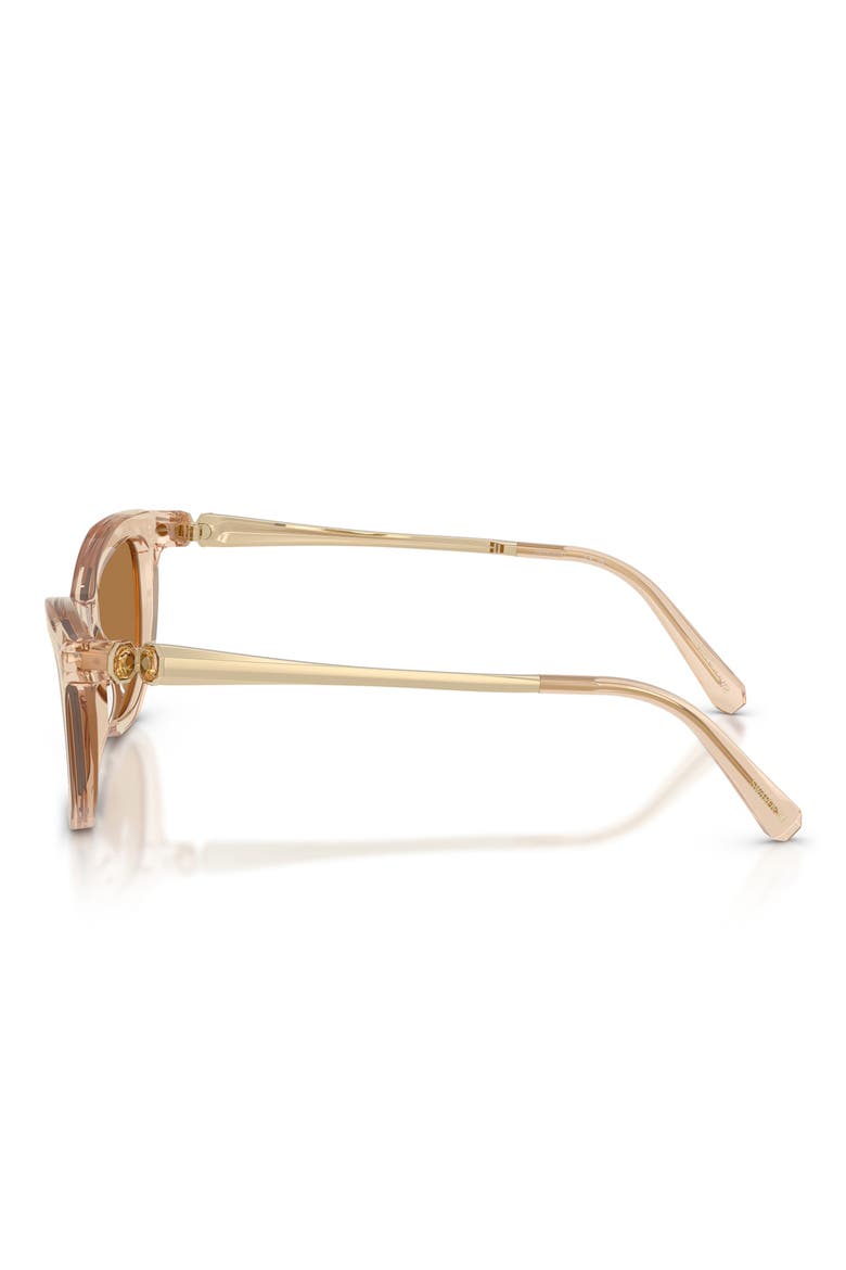 56mm Cat Eye Sunglasses, Alternate, color, TRANSPARENT BEIGE / BRONZE