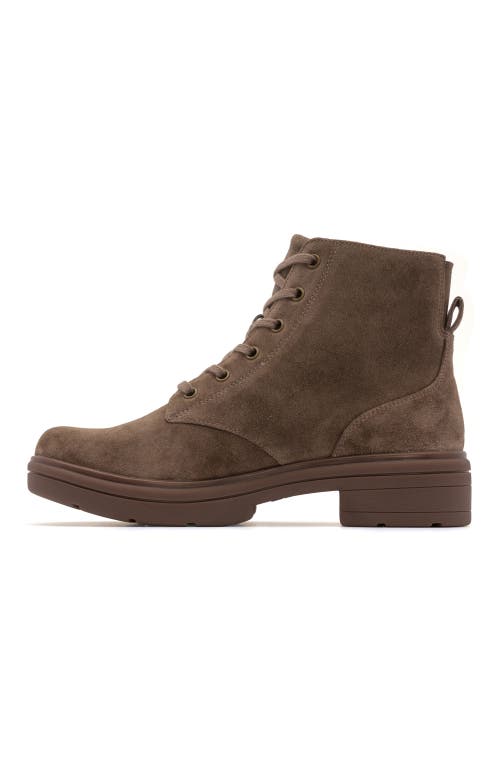 Abeo Vista Lace Boot In Taupe Suede - Regular