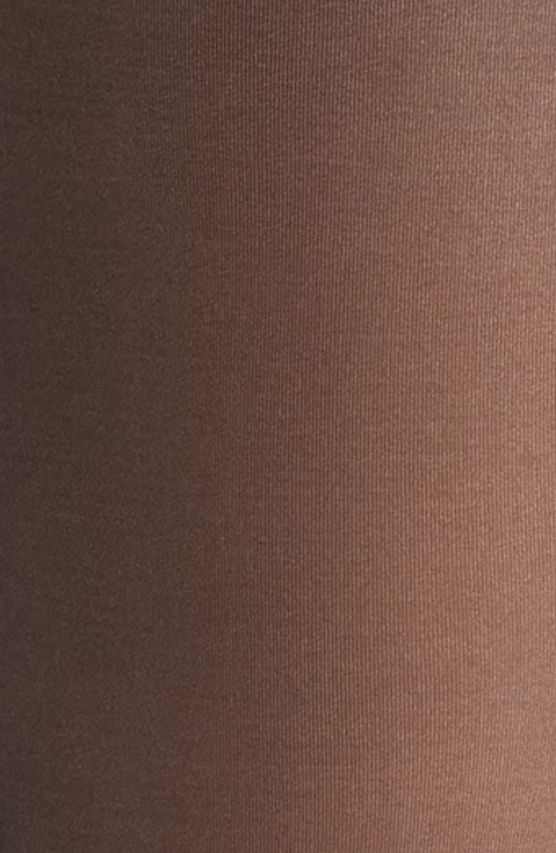 Hue Faux Sheer Fleece Tights, Alternate, color,