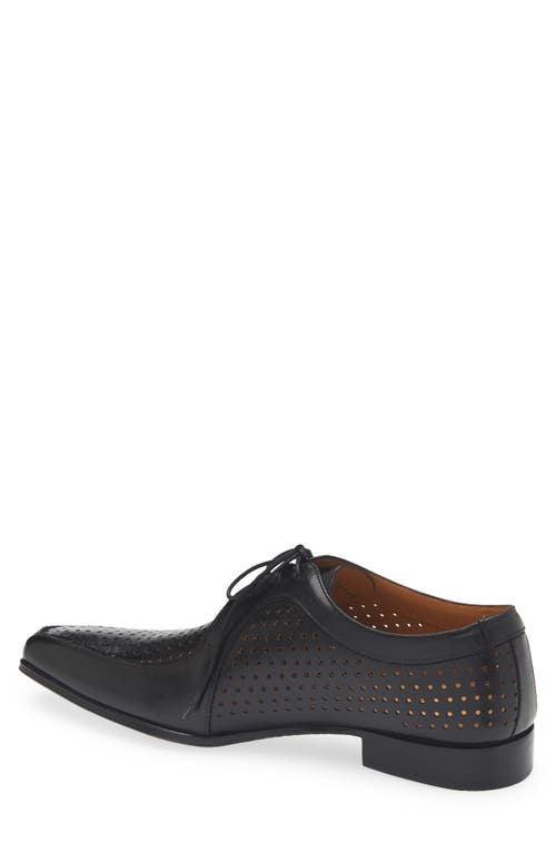 Mezlan Perforated Bike Toe Derby In Black