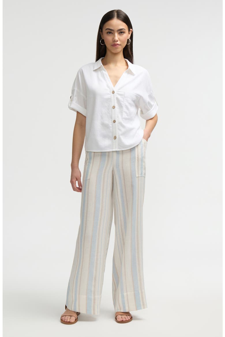 Wide Leg Pants, Alternate, color, BLUE NATURAL STRIPE