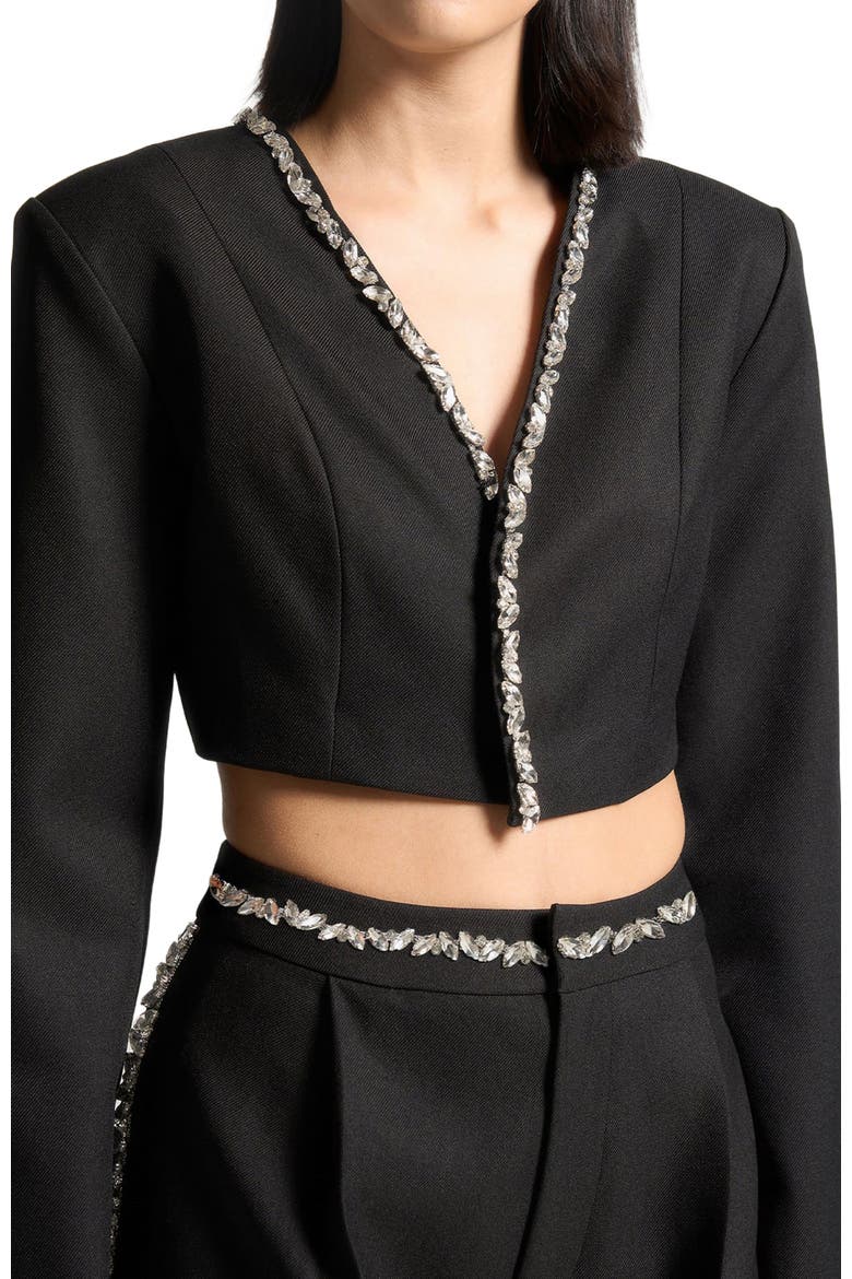 Embellished Cropped Blazer, Alternate, color, Black