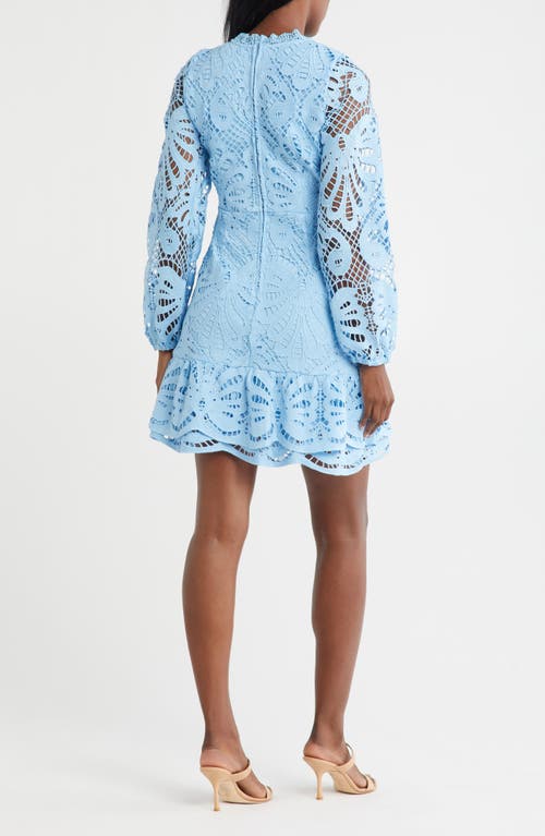 Nsr Lace Long Sleeve Dress