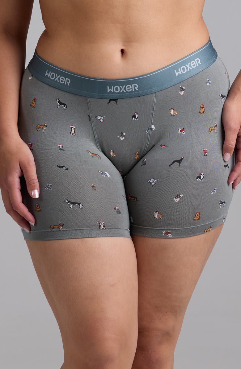 Woxer Baller Ultra-Soft 5-Inch Boxer Briefs, Main, color, Sage Pups