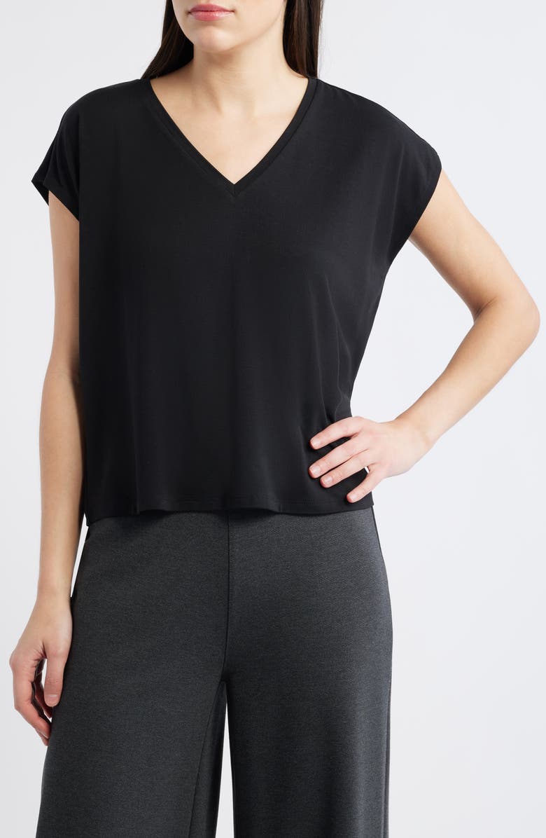 Eileen Fisher V-Neck Boxy T-Shirt, Main, color, Black
