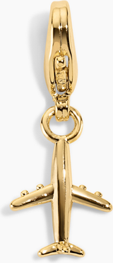 Electric Picks Airplane Charm