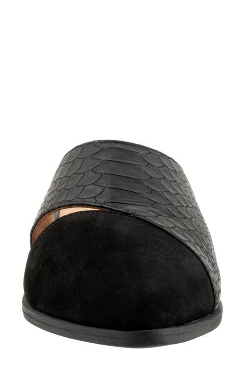 Bueno Blaze Pointed Toe Mule In Black