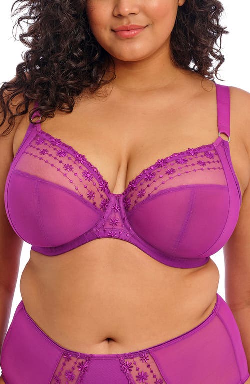 Elomi Matilda Full Figure Underwire Plunge Bra in Hollyhock at Nordstrom, Size 40Jj