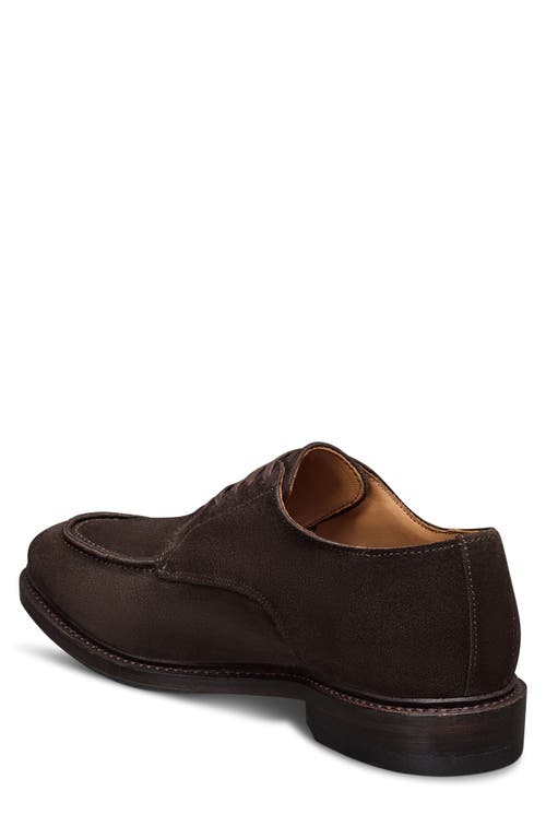 Allen Edmonds Rivington Suede Moc Toe Derby In Animal Print