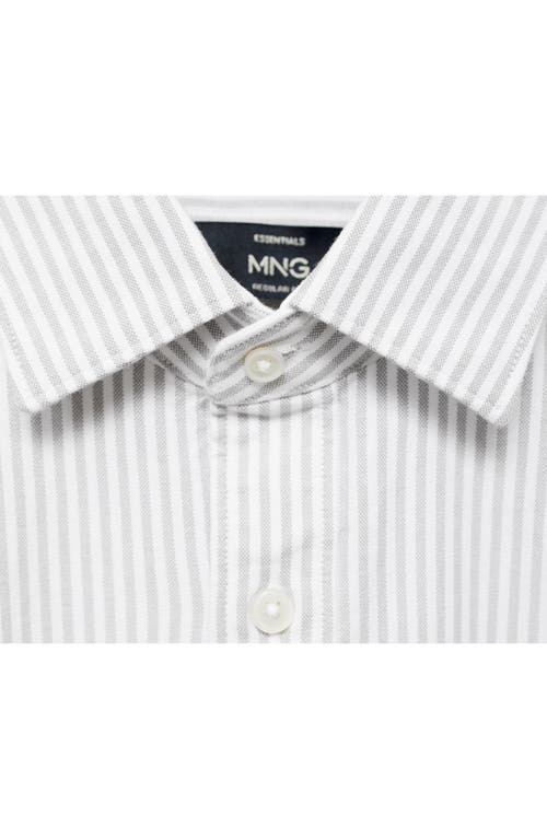 Mango Stripe Cotton Button-up Oxford Shirt In White