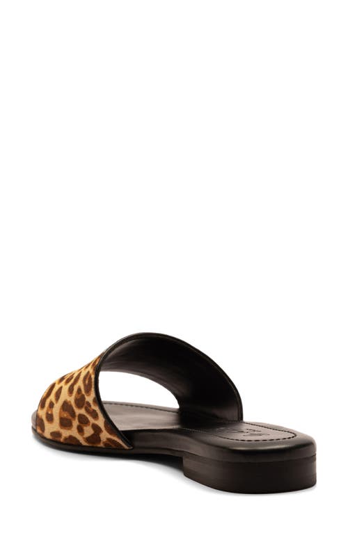 Off The Hook London Strand Leopard Genuine Calf Hair Sandal In Animal Print