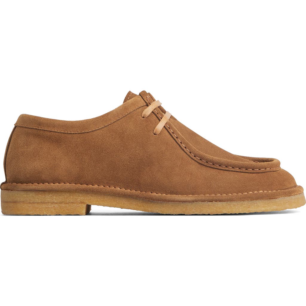 Bottega Veneta Suede Daddy Derby Shoes In Brown