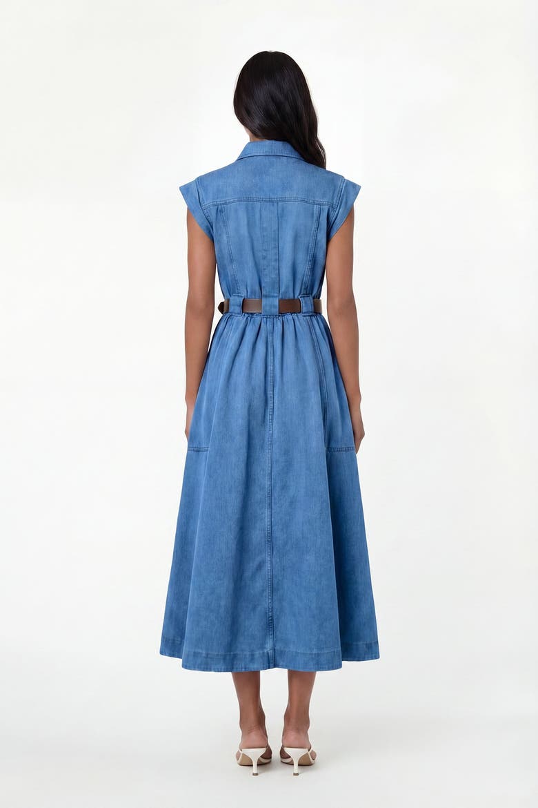 Trisha Denim Dress, Alternate, color, Light Wash