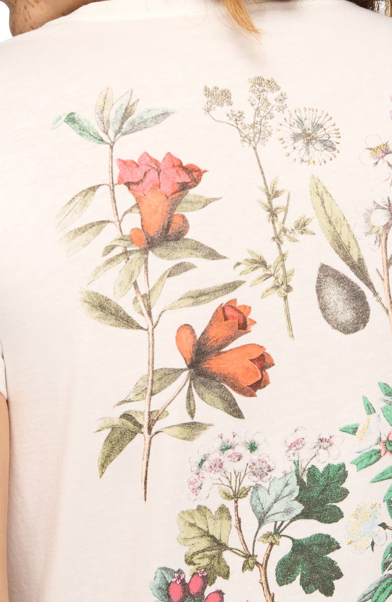 Lucky Brand Botanical Graphic T-Shirt, Alternate, color, Bright White