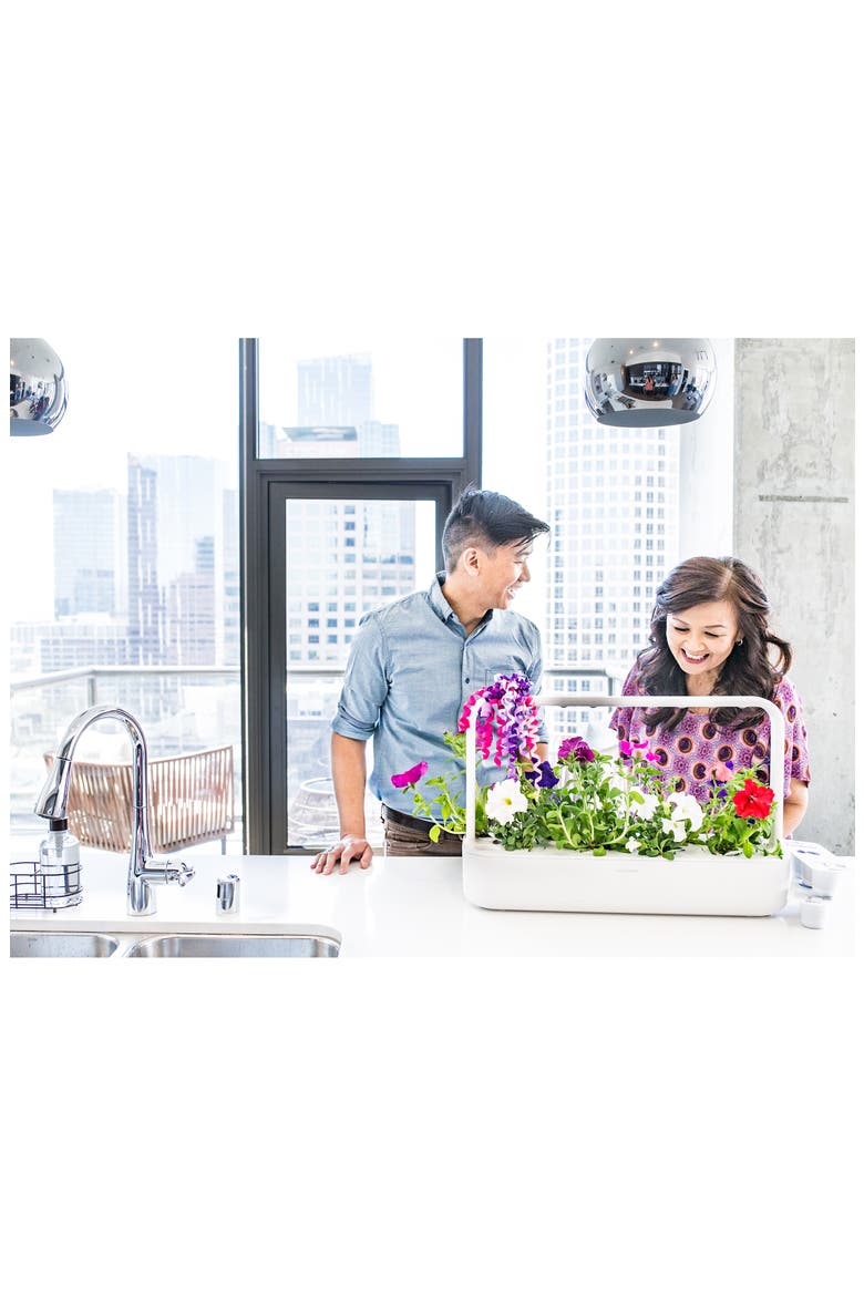 Smart Garden 9 Self Watering Indoor Garden, Alternate, color, GREY