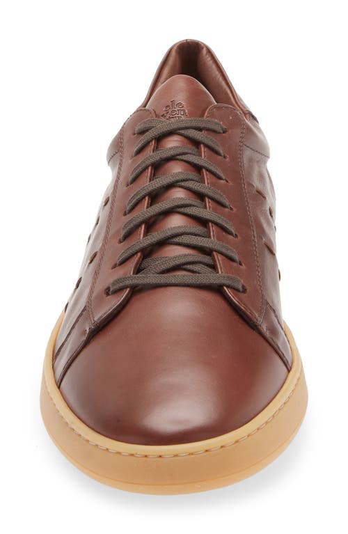 Eleventy Low Top Sneaker In Brown