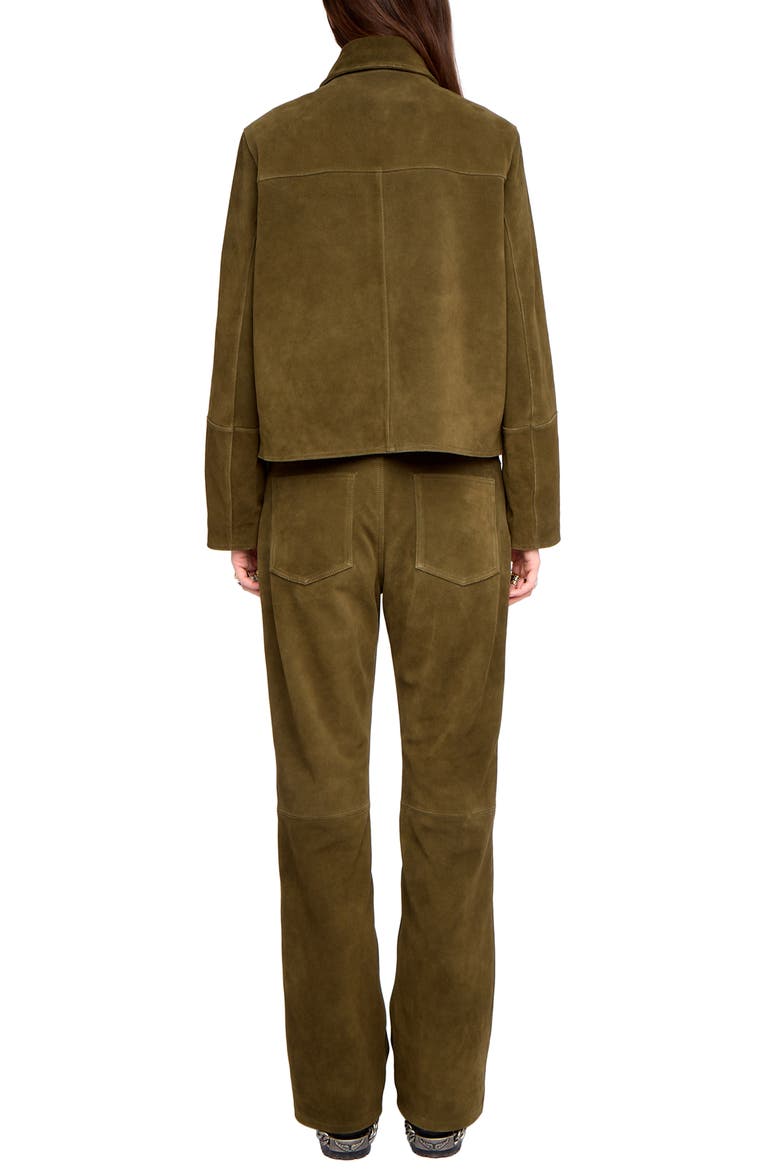 Lessa Suede Jacket, Alternate, color, TREILLIS