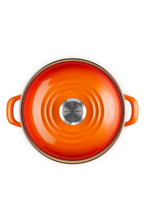 Le Creuset Enameled Stainless Steel Petite Stock Pot In Flame