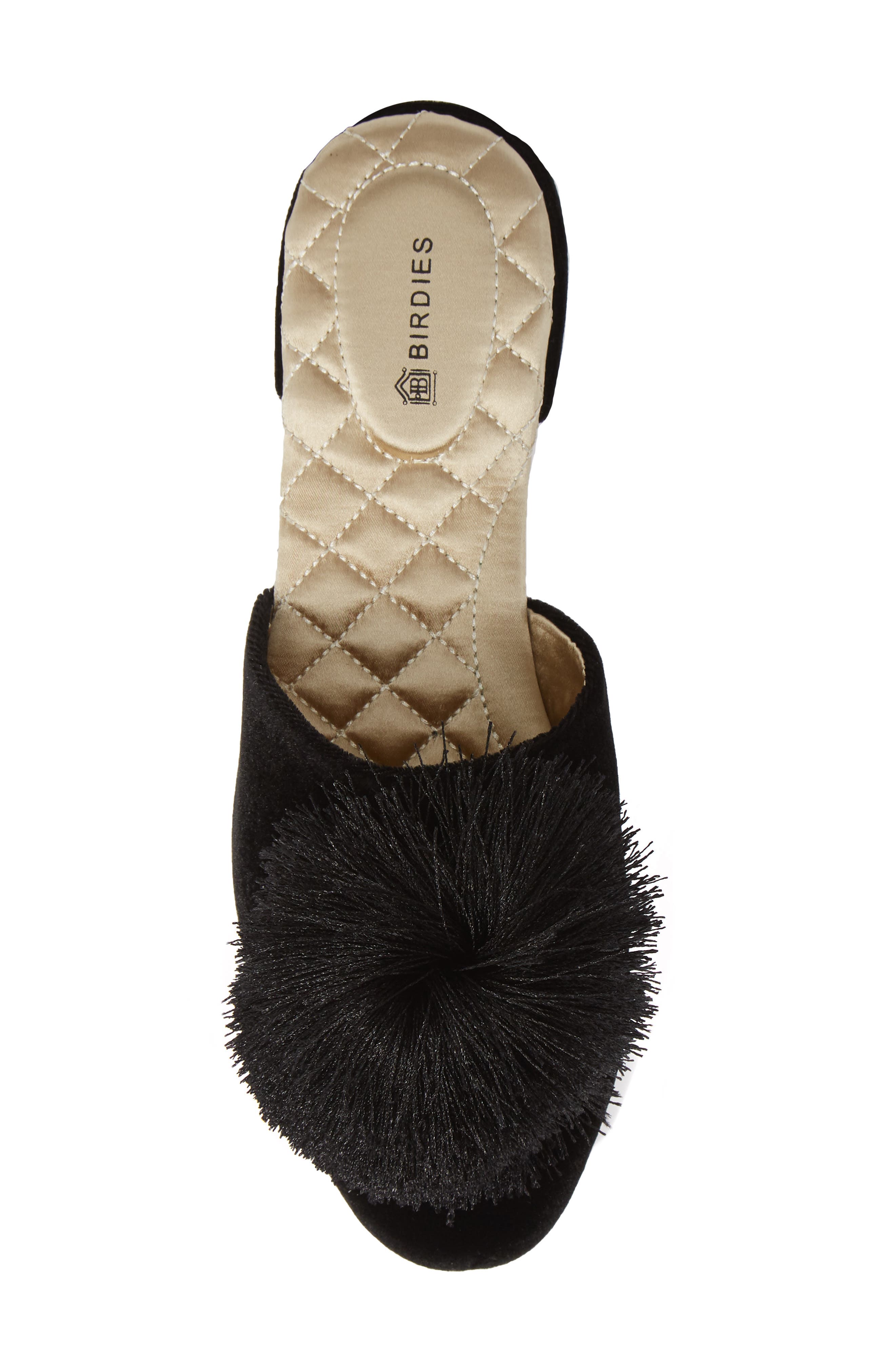 Birdies The Songbird Mule, Alternate, color, 