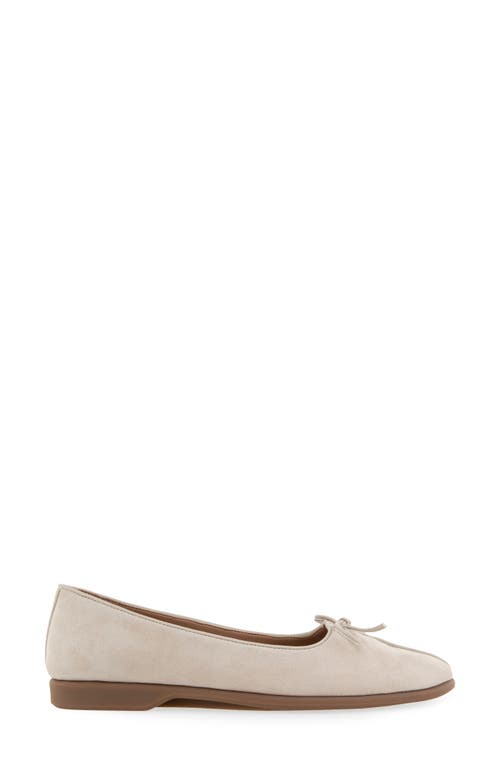 AEROSOLES AEROSOLES NOVIA BALLET FLAT