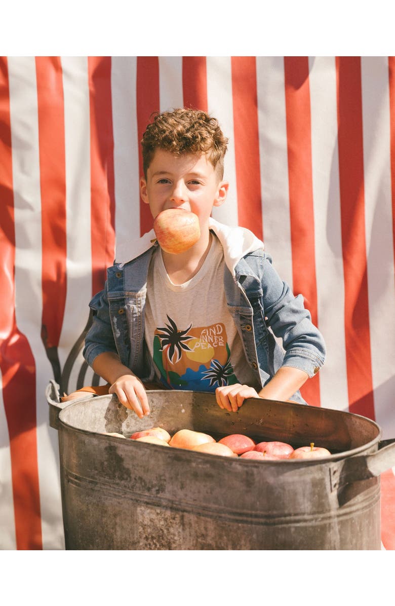 Deux par Deux Little Boy's Organic Cotton Graphic Tee Light Gray Shimmer, Alternate, color, 