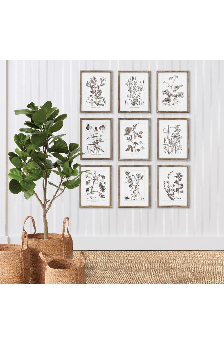 Napa Home & Garden Rustic Foliage Study Set of 9, Alternate, color, 
