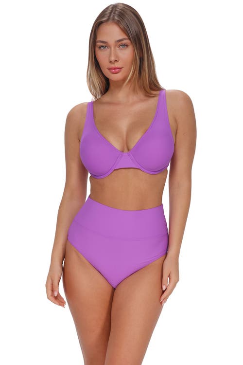 Sunsets Hannah High Waist Bikini Swim Bottoms