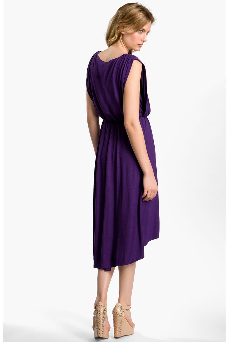 Blouson Jersey Dress, Alternate, color, ACAI