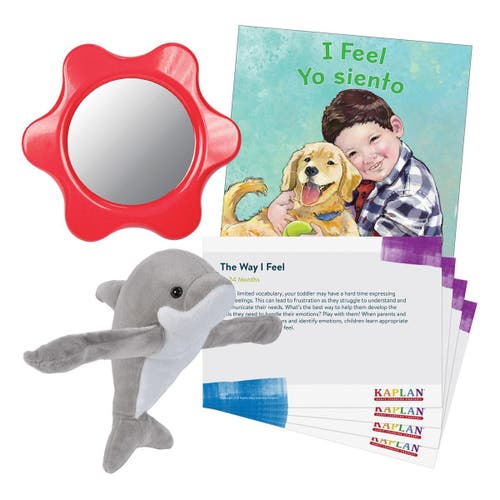 Kaplan Early Learning Company The Way I Feel Learning Kit In Multi