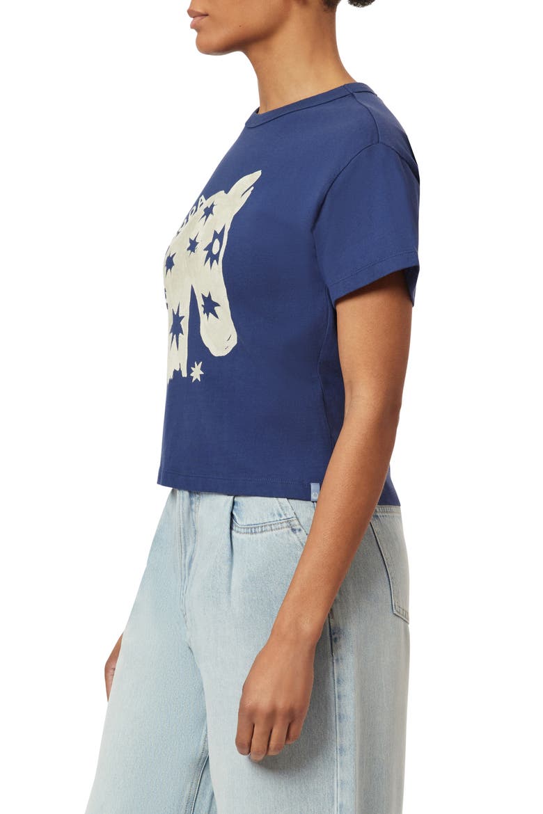 Horse Cotton Graphic T-Shirt, Alternate, color, OCEANA