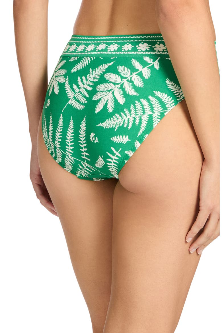 Hailey High Waist Bikini Bottoms, Alternate, color, EMERALD/ ECRU