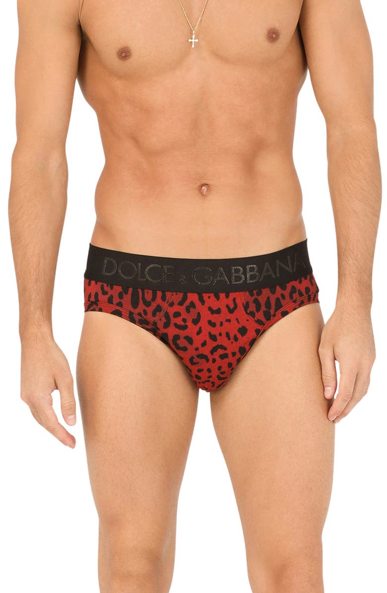 Dolce&Gabbana Leo Midi Fit Leopard Print Briefs, Main, color,