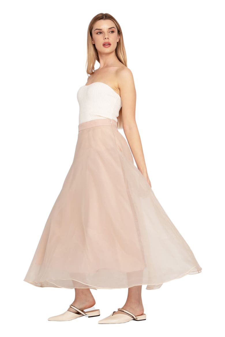 Make My Dreams Ballet Skirt, Alternate, color, Dusty Rose