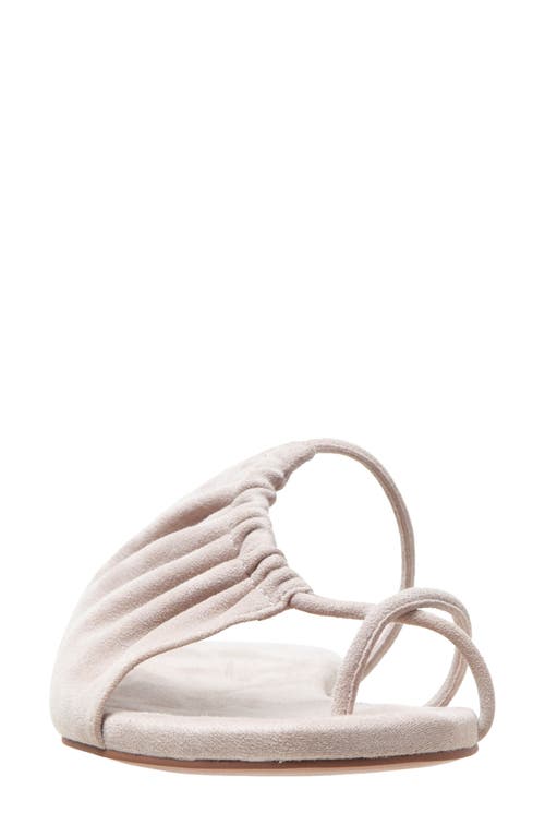 Linea Paolo Lane Toe Loop Sandal In Stone