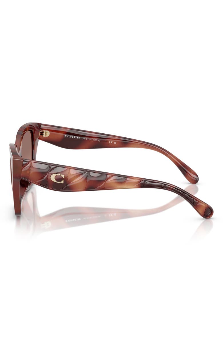 COACH 53mm Gradient Butterfly Sunglasses, Alternate, color, Caramel Tortoise
