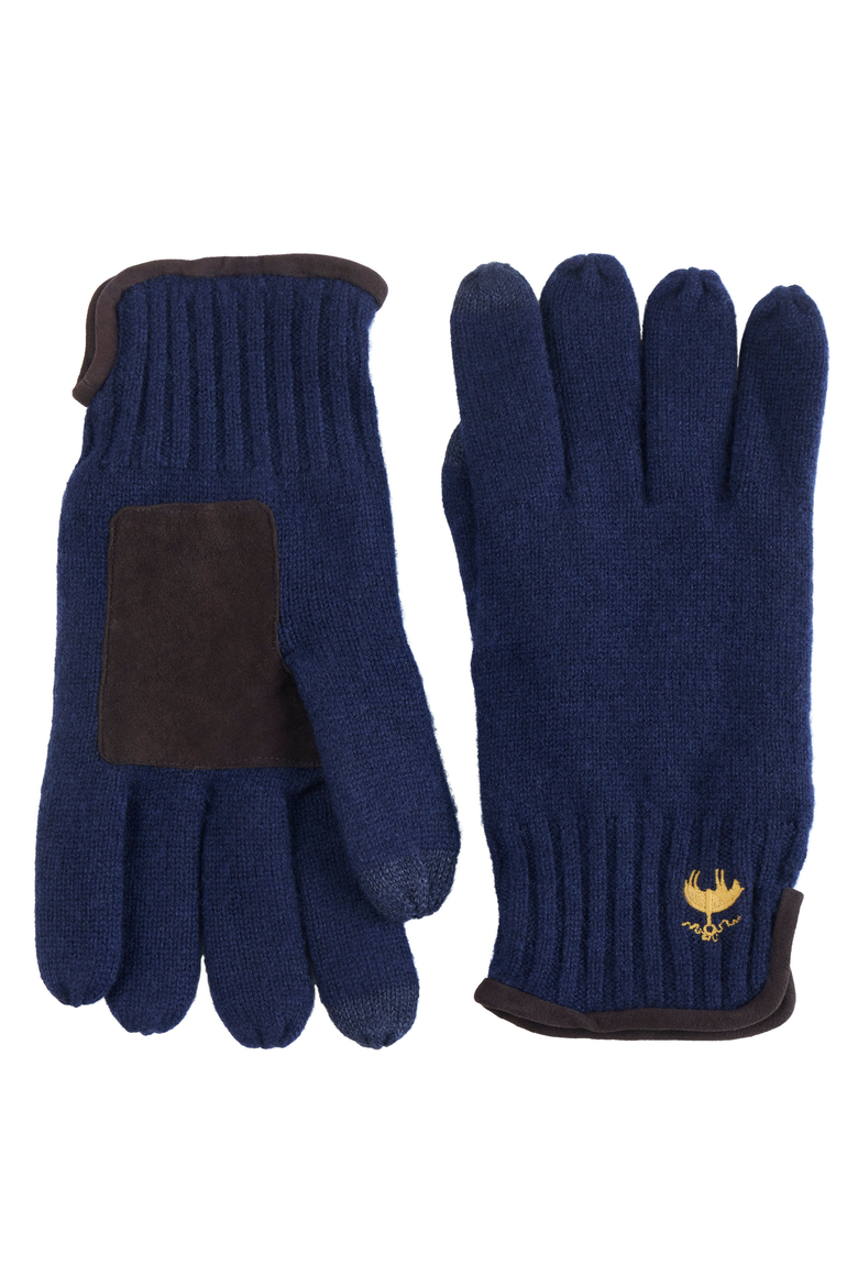 Cashmere Blend Suede Trim Gloves, Main, color, Navy
