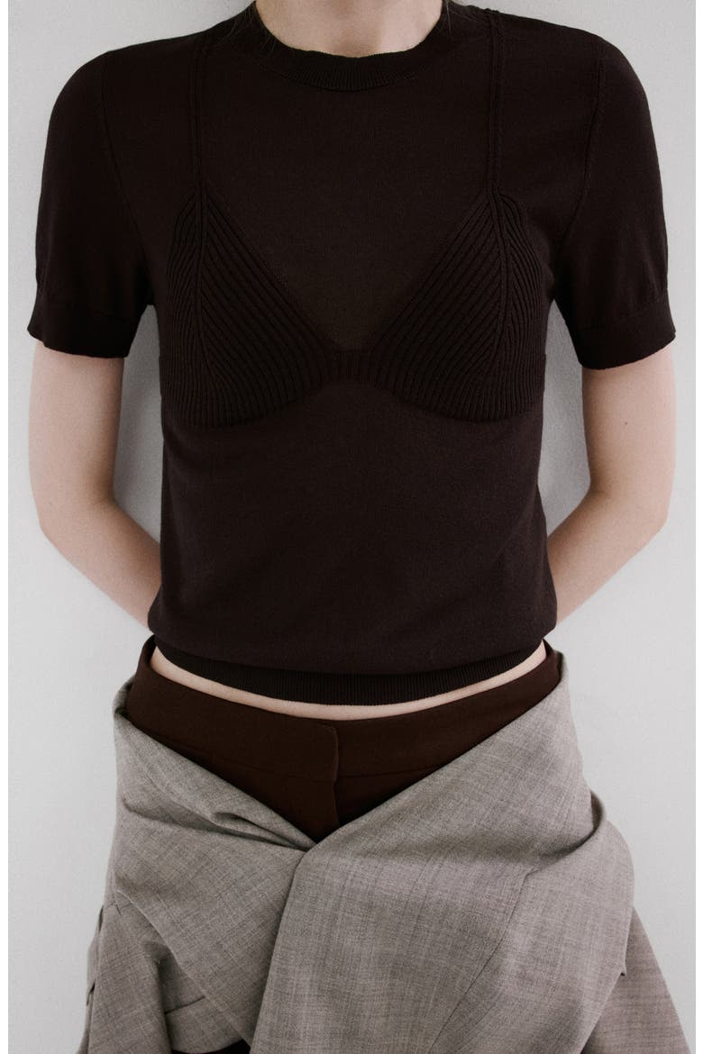 Short Sleeve Sweater, Alternate, color, BROWN